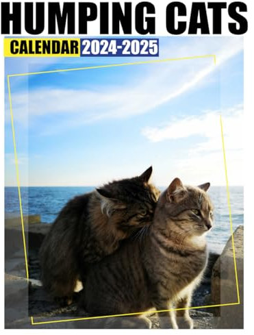 Humping Cats Calendar 2024-2025: A 24-Month Calendar for Jan 2024 to December 2025, Organizing & Planning, Gift For Friends And Family