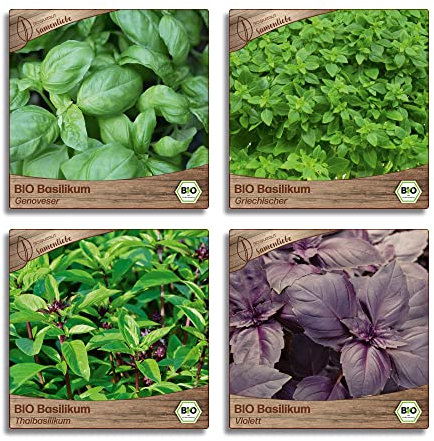 Samenliebe BIO Basilikum Samen Set mit 4 samenfesten Kräutersamen Sorten für Küche indoor und Balkon Garten Basilikum BIO Kräuter Saatgut
