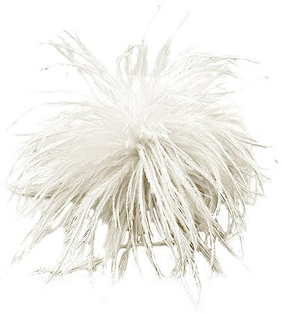 Elegante Federbrosche, MoreChioce Modische Federbrosche für Damen Haarspange Haarschmuck Kopfbedeckung Kopfschmuck Kostüme Dekoration Broschen Trachten-Brosche Bekleidungszubehör,Weiß