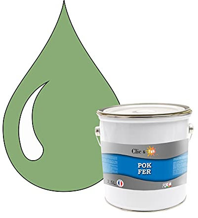 POK Peinture fer antirouille - Laque extérieure Semi-Brillante FER - 2,5L - RAL 6021 Vert pâle