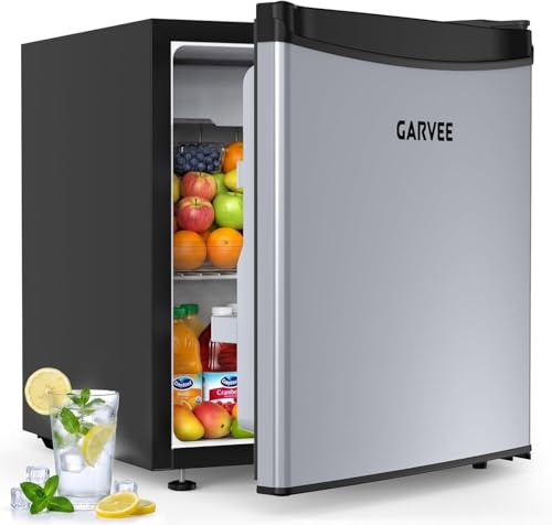 Garvee Leiser Mini Kühlschrank 45L – Edelstahlfront, 5 Temperaturstufen (0–18°C), verstellbare Füße, kompakt & energieeffizient – Für Zimmer & Büro