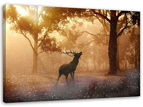 Feeby. Wandbild - 1 Teilig - 60x80 cm, Leinwand Bild Leinwandbilder Bilder Wandbilder Kunstdruck, HIRSCH, WALD, NATUR, BRAUN