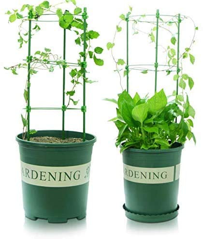 Sxspace einstellbare Tomatenstütze Rankhilfe Tomaten Höhenverstellbare Ringe,Pflanzenstützen-Spalier, Rankgittersystem 3 Pack/Set (3pack-18'' 45cm)