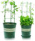 Sxspace einstellbare Tomatenstütze Rankhilfe Tomaten Höhenverstellbare Ringe,Pflanzenstützen-Spalier, Rankgittersystem 3 Pack/Set (3pack-18'' 45cm)
