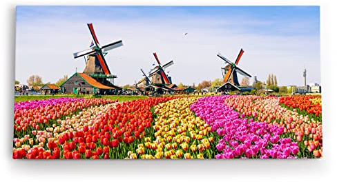 Paul Sinus Wandbild 120x60cm Holland Niederlande Windmühlen bunte Tulpen Blumenfeld