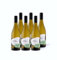 Terra Organica Sauvignon Blanc - White Wine from Chile with Gooseberry and Lime Notes, A Bright, Fruity & Zesty Wine - Perfect Pairing to Fish and Spicy Dishes, 13% ABC 6 x 75cl - White Wine Gift Set