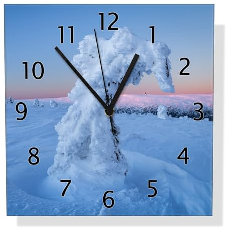 Wallario Design-Wanduhr Schneeskulptur aus Glas, Motiv-Uhr Größe 30 x 30 cm, Schwarze Zeiger