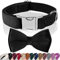 Asvin Hundehalsband Samtige, mit Abnehmbarer Hunde Fliege, Weich und Bequem Hunde Halsband, Mehrfarbig Samtige Hundehalsband, für Hochzeiten, Geburtstage, Partys usw