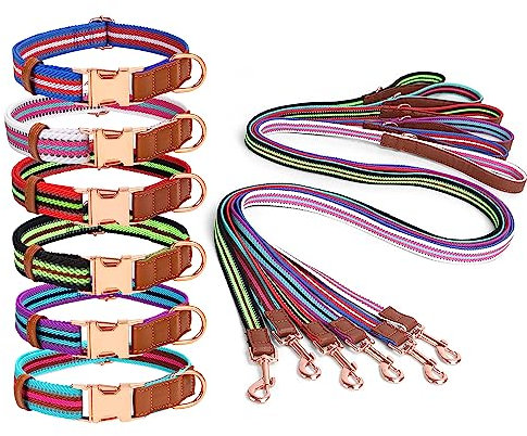Hundehalsband mit Leine Set Halsband Hund Hundeleine Personalisiert Namen und Telefonnummer auf Metall Steckverschluss Verstellbare Hundehalsbänder