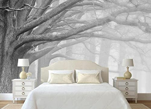 BELOKA Papier Peint Panoramique 3D Branches De Nuages Noir Et Blanc Papier Peint 3D Intissé Moderne Décoration Murale