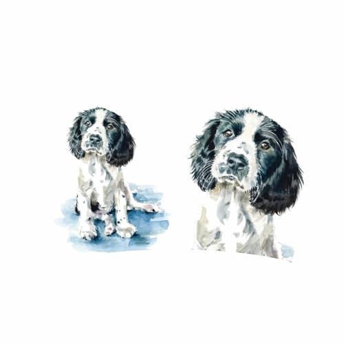 Otter House Limited Springer Spaniel Latte Mug