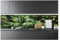 Fototapete Küche Abwaschbar Natur Dschungel Wald - 250x60 cm Einteilig Premium Küchenrückwand - Inklusive Kleister Modern Küchentapete Fototapeten Vlies Tapete UV-Beständig Montagefertig