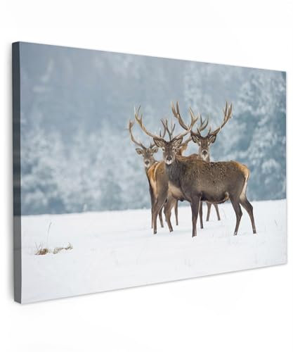 MuchoWow© Bilder Groß 120x80 cm XXL Wohnzimmer Deko Modern Wandbild Foto auf Leinwand Bild Schlafzimmer Room Decor Geschenke Hirsch - Rotwild - Reh - Tiere - Schnee - Winter - Landschaft - Natur
