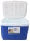 Nevera Portátil a Prueba de Fugas de 13L para Picnics, Parrilla, Camping, Pesca, Refrigerador Exterior con Aislamiento de Plástico Resistente para Fiestas y Viajes (Blue)