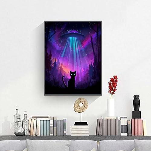 Malen Nach Zahlen Erwachsene, UFO Katze Paint by Numbers Malen Nach Zahlen, DIY mit Pinseln und Acrylfarben Handgemalt Ölgemälde Leinwand für Geschenke und Wand Dekoratio 30 x 40 cm PjY1795 6-9