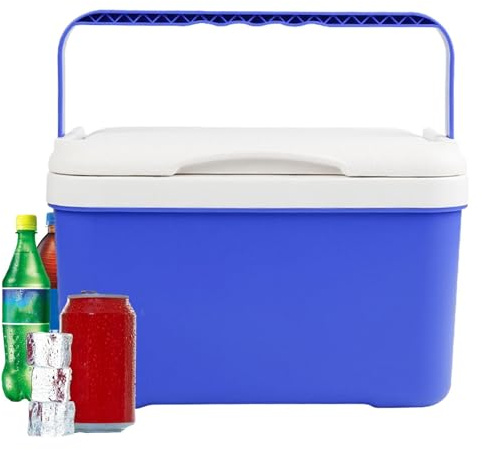 Hielera Grande,Contenedor Aislado Portátil de 6 litros - Grande con Asa - para Exteriores Acampada Senderismo Picnic Viaje Coche