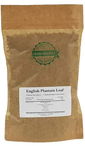 Llantén Menor Hoja / Plantago Lanceolata L / English Plantain Leaf # Herba Organica # Siete Venas, Hierba De Los Pájaro (100g)