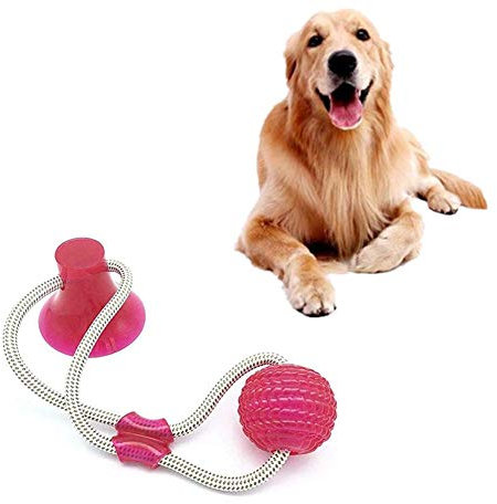 KANKOO Hundeball Zahnpflege Hundespielzeug Mit Saugnapf Hundeball Für mittelgroße Hunde Haustier Interaktiver Ball Hund Molar Toy Sucker red