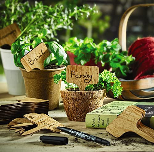 50 x Wooden Label Signs with Pen – Perfect for Labelling Plants in Greenhouses, Herb Gardens & Pots or for Buffet Food – Each Measure H10 x W6cm