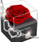 Ewige Rose Geschenkbox Rot,Infinity Rosen, Romantisch Konservierte Rose,Echte Eternal Blumen Für Frauen Women Ehefrau Muttertag Valentinstag Birthday Verlobung Hochzeitstag Jubiläum Christmas Gifts
