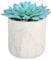 Sleepdown Halo Blue Artificial Faux Plant Succulent White Pot for Home Office Bathroom Decor Indoor Decoration Aesthetics, Blue Succulent Pot - 901, Small