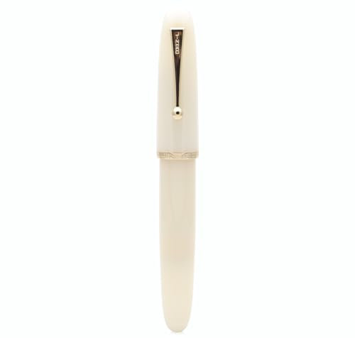 JINHAO DADAO 9019 Fountain Pen Acrylic Ink Pen with Ink Converter (Medium Nib, White)