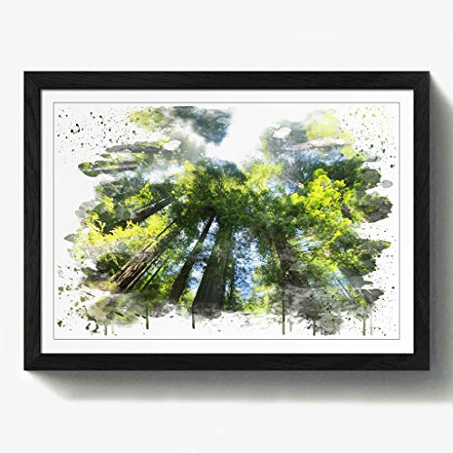Arty Pie Framed Print Black A2 (24.5x18 Inch) Sequoia Redwood Tree Forest V3, Wood, Multi-Colour, 60 x 42 x 2 cm