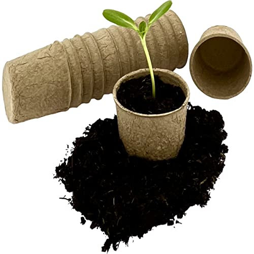 50 x Pots de semences Biodégradables Pots de culture pots - Ø 7 cm x H 5 cm