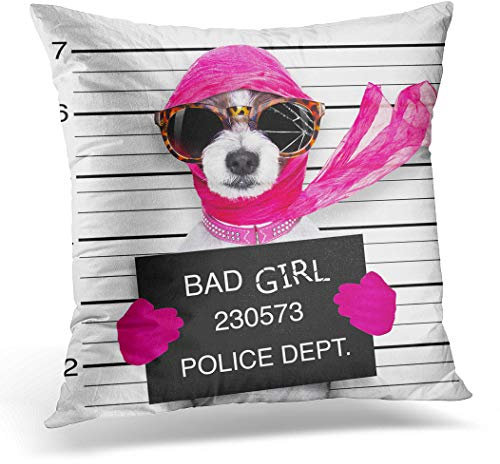 Kissenbezug, 45 x 45 cm, Motiv: Diva, Dame, Mädchen, Hund, posiert für schöne Mugshot als Heimdekoration, quadratischer Kissenbezug für Bett, Sofa