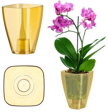 KADAX Flowerpot, Slim Orchid Pot, semplice fioriera, secchio di fiori per orchidea, erba da ragazzo, margherite, trama per cucina e soggiorno (⌀ 9 cm, angolare, miele)