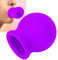 Lip Plumper Gerät, Lips Enhancer Beauty Bigger Mouth Schnell Gesicht Saubere Massage Silikon Lippenpumpe Mit Pinsel(Violett)