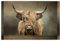 Puzzles, Puzzles für Erwachsene Anspruchsvolles Puzzle 1000 Teile Bilderpuzzle aus Holz, Highland Cow