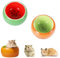 Hamster Näpfe Set 2 Stück Hamster Keramik Futterschalen Kleintiere Keramik Futterschale Keramik Napf für Kleintiere Anti-Biss Keramische Hamster Futternapf Schälchen für Meerschweinchen (Kiwi-Set)
