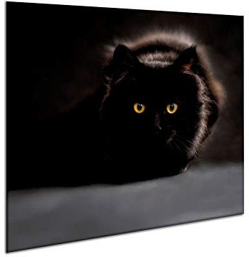 Ceramic Induction Hob Protector Cover 60 x 52 cm | Glass Kitchen Splashback | Chopping Board | Worktop Saver Cat Panel | by semUp