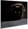 Ceramic Induction Hob Protector Cover 60 x 52 cm | Glass Kitchen Splashback | Chopping Board | Worktop Saver Cat Panel | by semUp