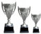 Personalised Silver Presentation Cup Trophy Award for Any Sport Engraved Free - Enter Your Own Custom Text (Large)