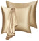 Taie Oreiller Satin 65x65 Lot de 2, Enveloppe de Mode taie d’Oreiller Lavable (Champagne)
