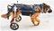 Yclty Hunderollstuhl Wheels Dog Wheelchair Für mittelgroße Hunde,Hundehund Rollstuhl Hinterbein Rehabilitation für Behinderten, 2 Räde 4 Größe Wählen Sie,15-60 kg