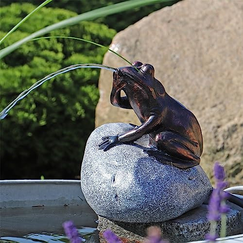 CLGarden Wasserspeier Komplettset Frosch auf einem Stein NSP10E mit strombetriebener 12V Pumpe Springbrunnen Wasserspiel für den Gartenteich Zinkwanne