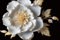 Tobil Badematte rutschfest saugfähig Badvorleger Badezimmerteppich Blume-33 40x60
