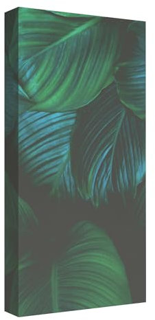 Addictive Sound Akustikpaneele - Akustikplatten und Schallabsorber mit Grafiken - Acoustic Panel Wand - Akustikelemente Bild mit den Maßen 100x50x11 cm - Akustikpaneel Absorber - Nature_4