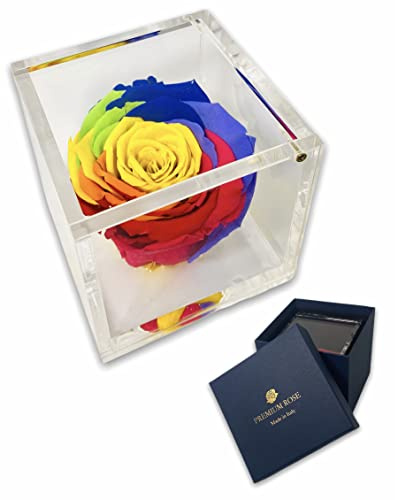 Passionefiori.it S 1800 Luxury Rose Stabilizzate Vere in Cubo più Spesso Luxury 8 e Scatola Regalo Lusso, Cubo Rosa stabilizzata Multicolore, Rosa eterna