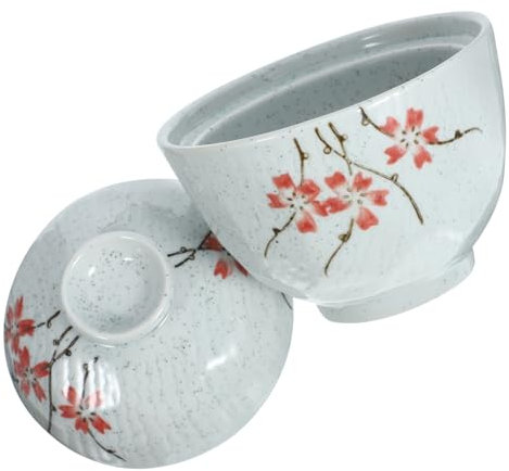 CRILSTYLEO 1 Juego olla de cerámica patria party food container sartén cerámica tazón de ramen con tapa Cuenco para servir de cocina taza de sopa de cerámica tazón de sopa de cerámica