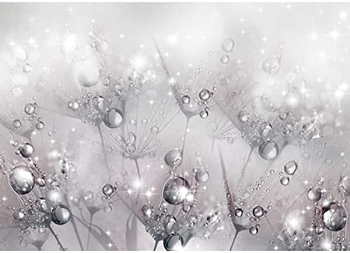 Runa Art Fototapete Blumen Pusteblume Modern Vlies Wohnzimmer Schlafzimmer - Made in Germany - Grau 9432010a
