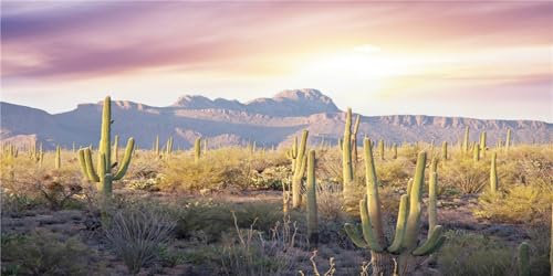 MIRRORANG 120x46cm Reptilien Lebensraum Hintergrund Blauer Himmel Oase Berg Kaktus Sonne und Wüste Terrarium Hintergrund