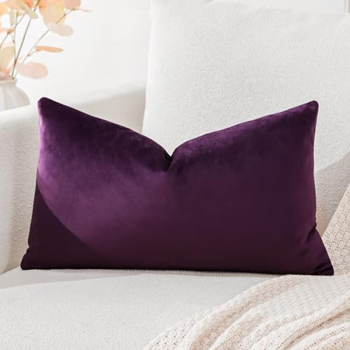 Artscope Samt Kissenbezug Kissenhülle Dekorative Dekokissen Sofakissen Lendenkissen Wurfkissenbezug Sofa Schlafzimmer 40x60cm Lila