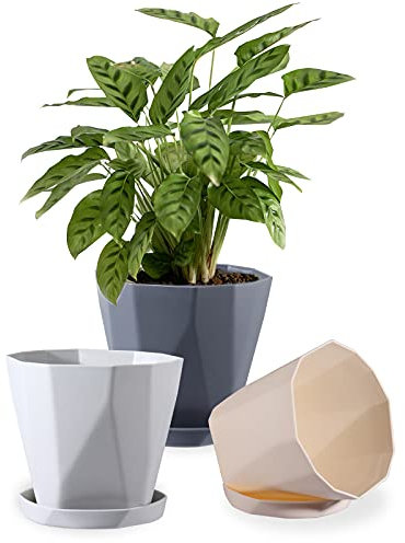 AXABING Blumentöpfe aus Kunststoff, nordischer Stil, für Sukkulenten, Blumen, kreativer Pflanzenbehälter mit Untersetzer, 3 Stück