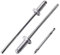 SKIR'CO 100 rivetti ciechi in alluminio 3,0 x 8 mm, mandrino in acciaio, rivetti pop, testa a cupola, rivetti DIN 7337, punta da trapano inclusa