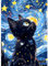 QINRUBB DIY Sternenhimmel Diamond Painting Erwachsene, 5D Schwarze Katze Diamant Painting Bilder Anfänger, Runder Vollbohrer Diamanten Malerei Stickerei Kreuzstich Geschenke Home Wand Dekor 30x40cm