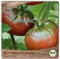 Samenliebe BIO Fleischtomaten Samen alte Sorte Black Krim intensiv aromatische russische Tomate schwarz 10 Samen samenfestes Gemüse Saatgut für Gewächshaus Freiland und Balkon BIO Gemüsesamen